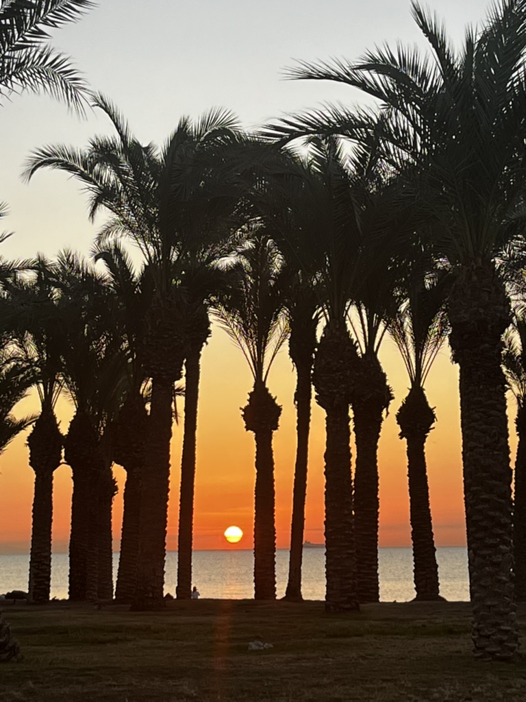 Sončni zahod med palmami ob Costa del Sol
