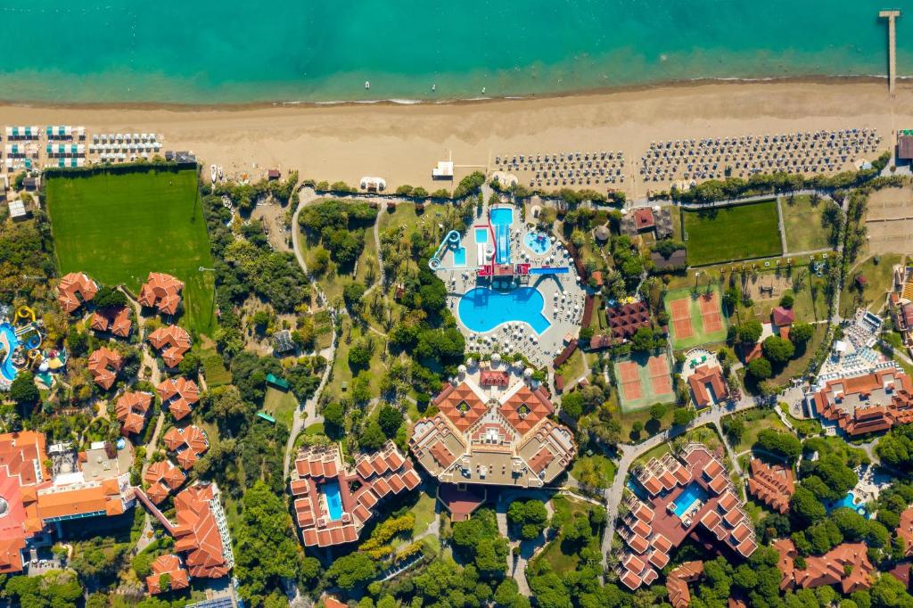 Asteria belek