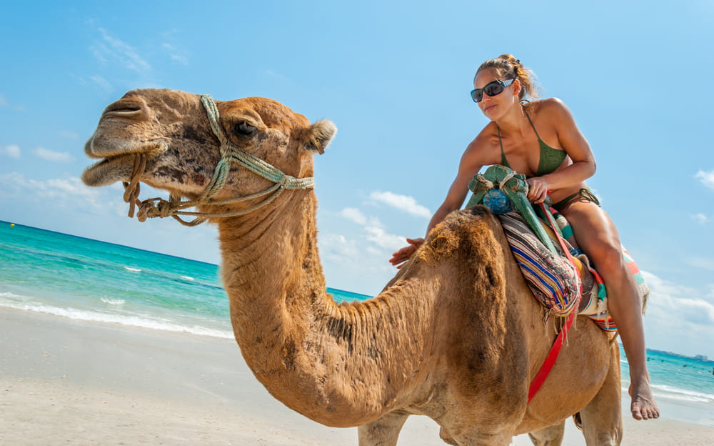 Tunizija turistka na kameli