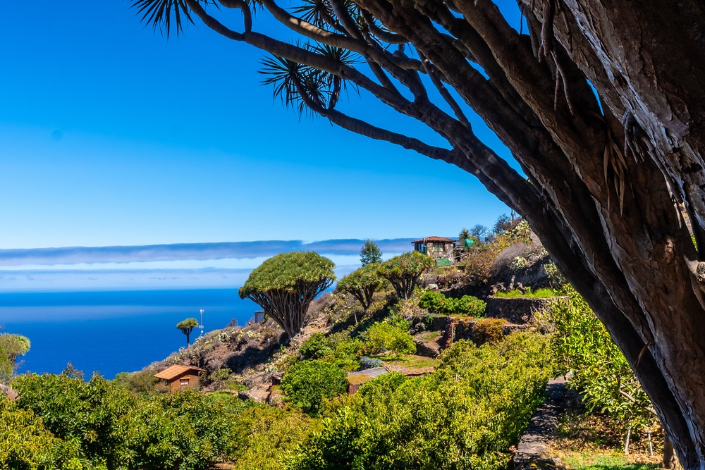 La Palma z zeleno pokrajino, hribi in naravnim videzom kanarskega otoka