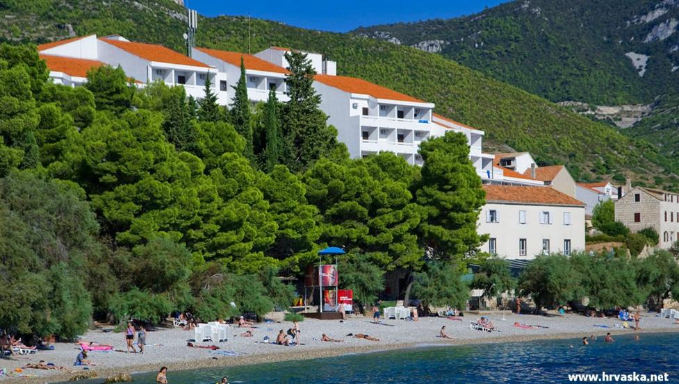 Vis bisevo pocitnice