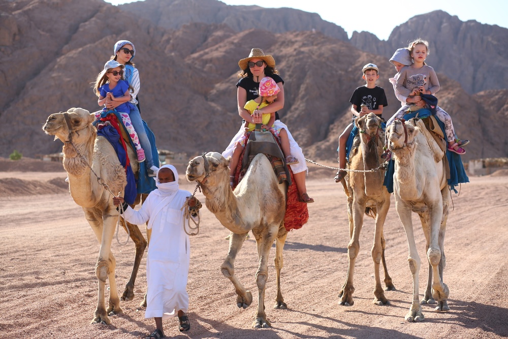 Sharm El Sheikh, Egypt - March 18, 2020: Tourists riding camels in the Egypt desert.