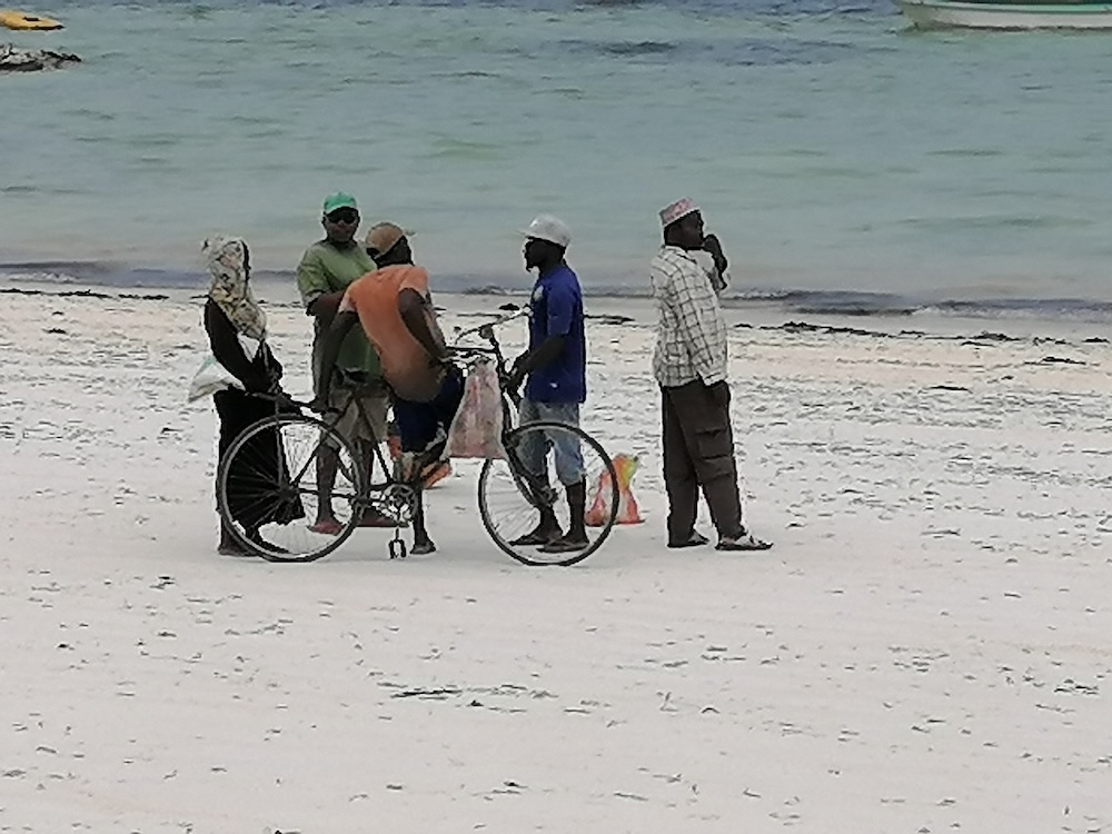 https://pocitnice.si/assets/images/content/Zanzibar_domacini-na-plazi.jpeg