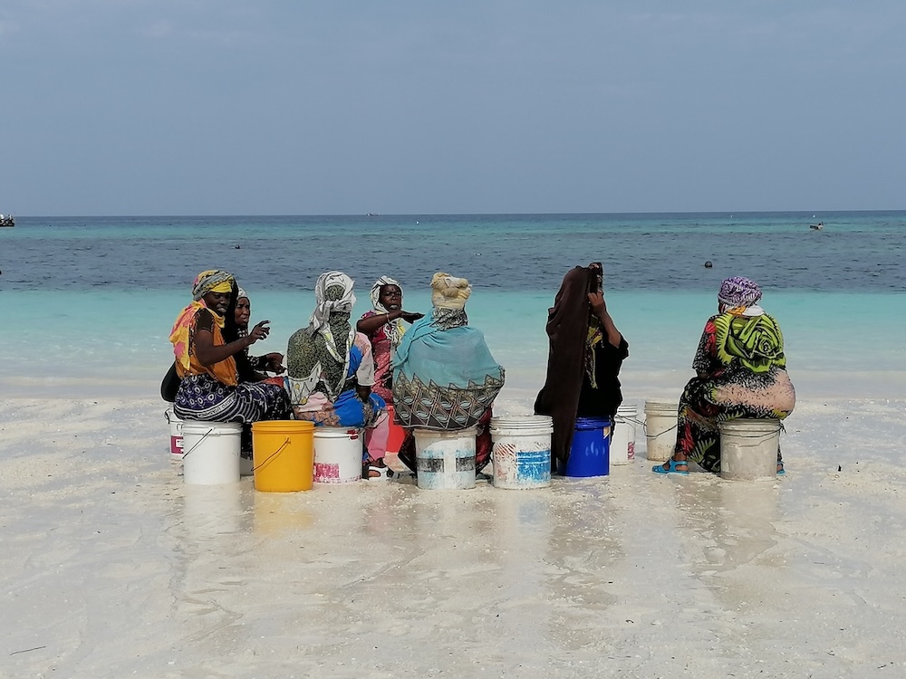 https://pocitnice.si/assets/images/content/Zanzibar_domacini-pri-delu.jpeg