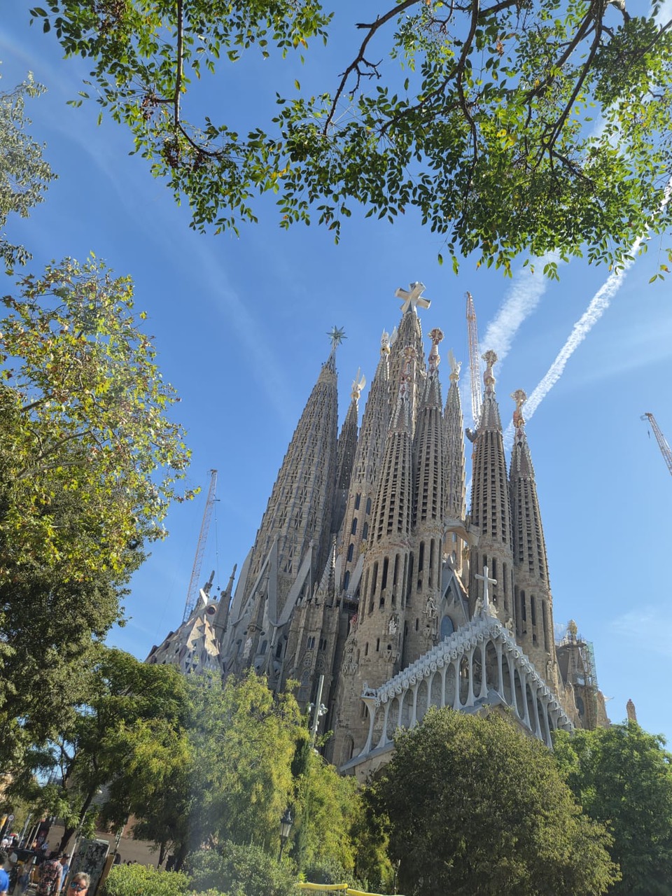 Sagrada Familia – v živo je njena velikost še veliko bolj impresivna.