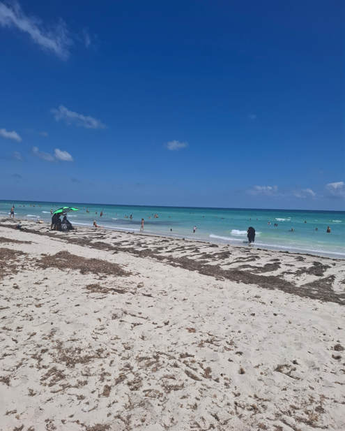 Djerba otok Flamingov bel pesek