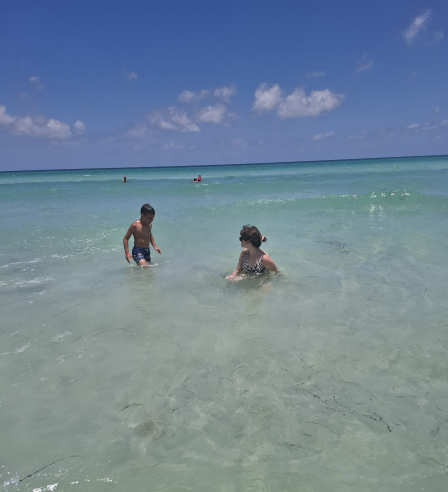 Djerba otok Flamingov morje