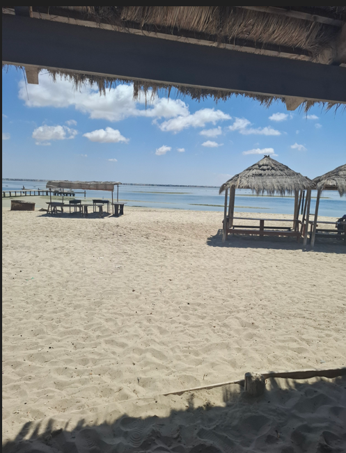 Djerba otok Flamingov plaza