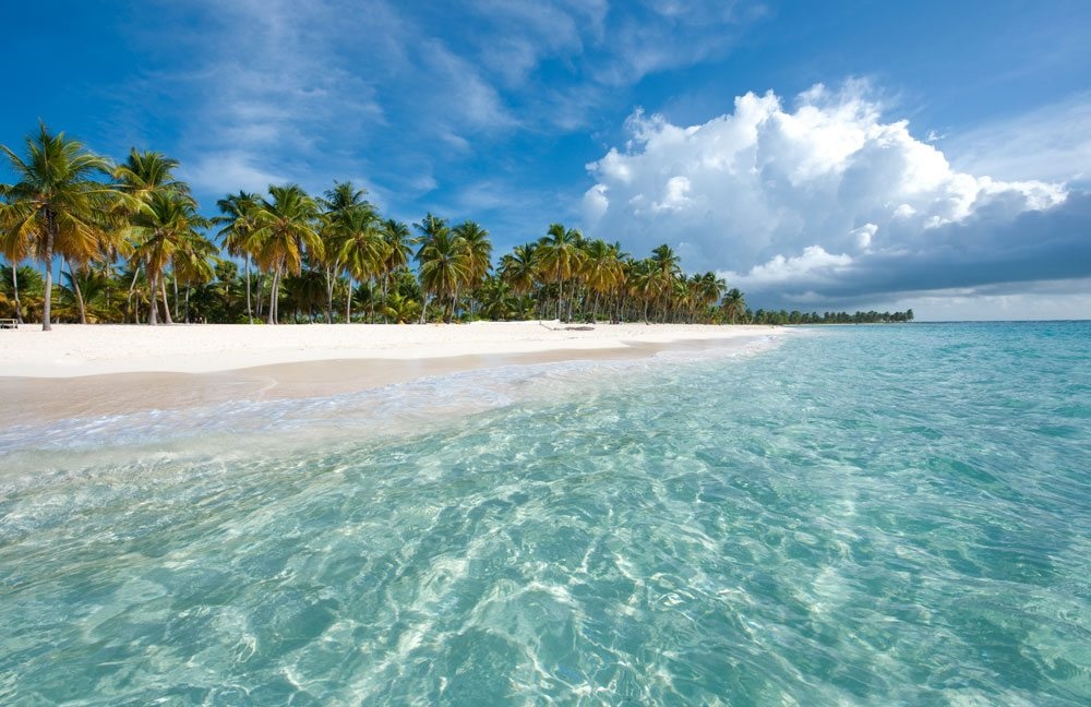 Isla Saona v Dominikanski republiki s palmami, belim peskom in turkiznim morjem