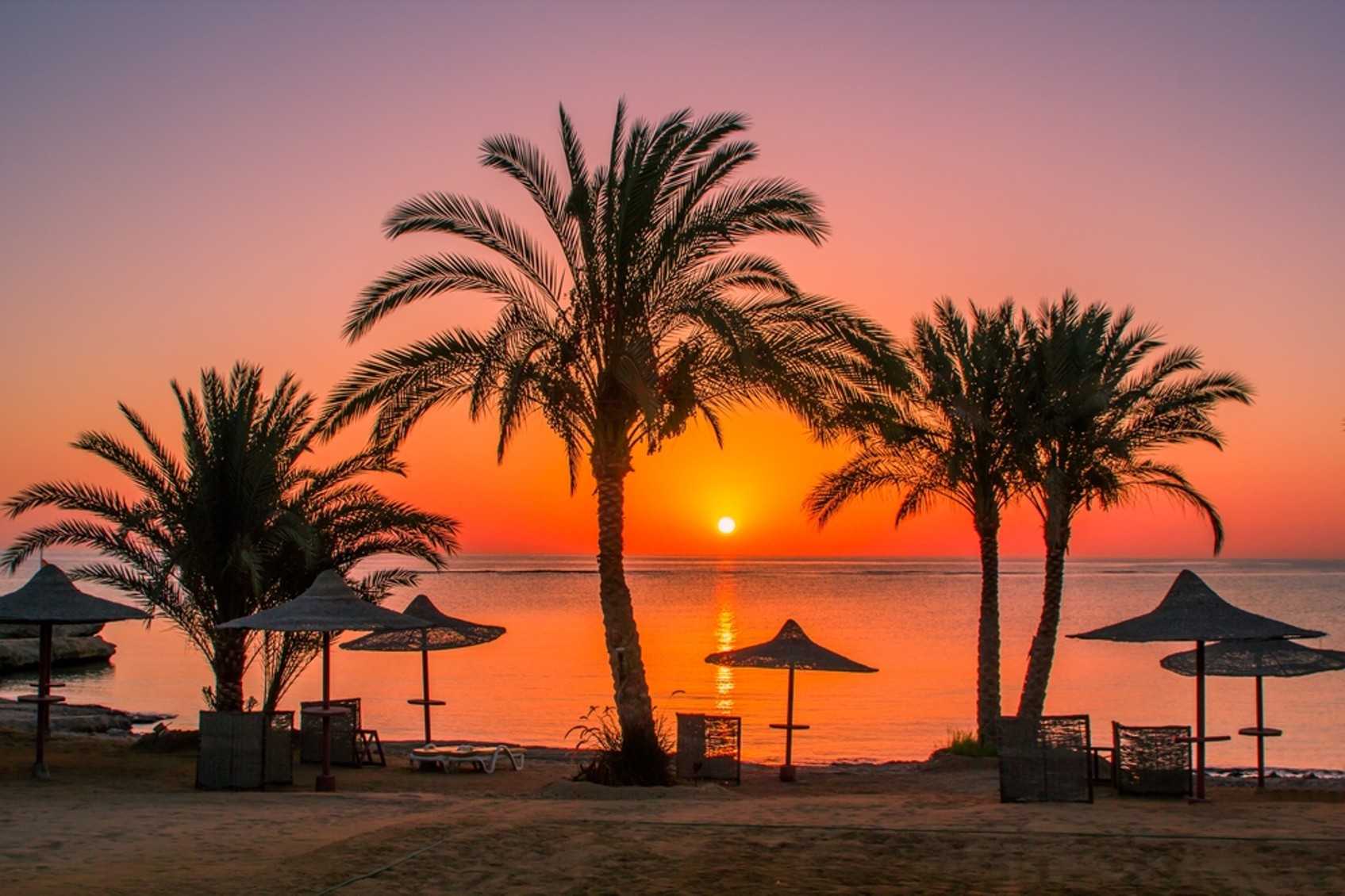 Oranžen sončni zahod nad Rdečim morjem s palmami na plaži