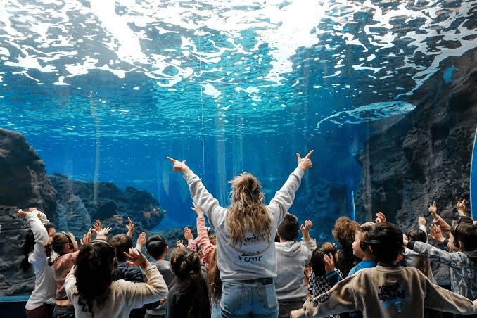 Cretaquarium je bil eden tistih izletov, kjer je bil sin ves čas navdušen.