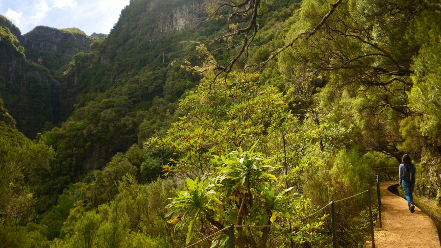 Levada das 25 Fontes Madeira – znamenita levada z več slapovi in jezerci