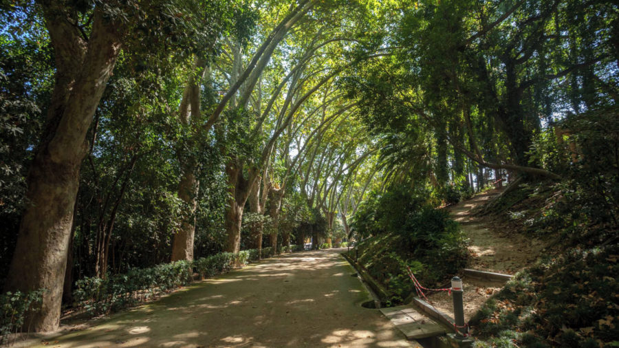 Parque de Málaga s palmami in subtropskim rastlinjem