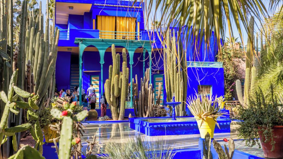 Jardin Majorelle vrt Marakeš
