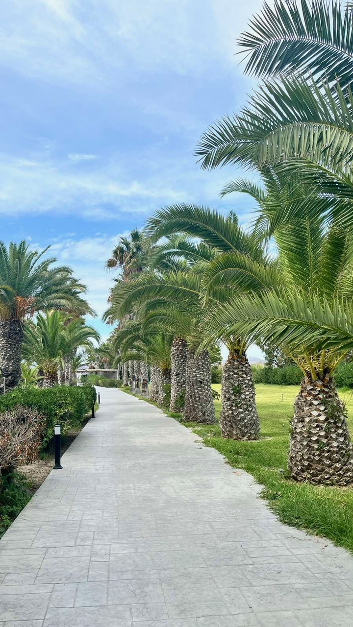 https://pocitnice.si/assets/images/content/otok-kos11.jpeg